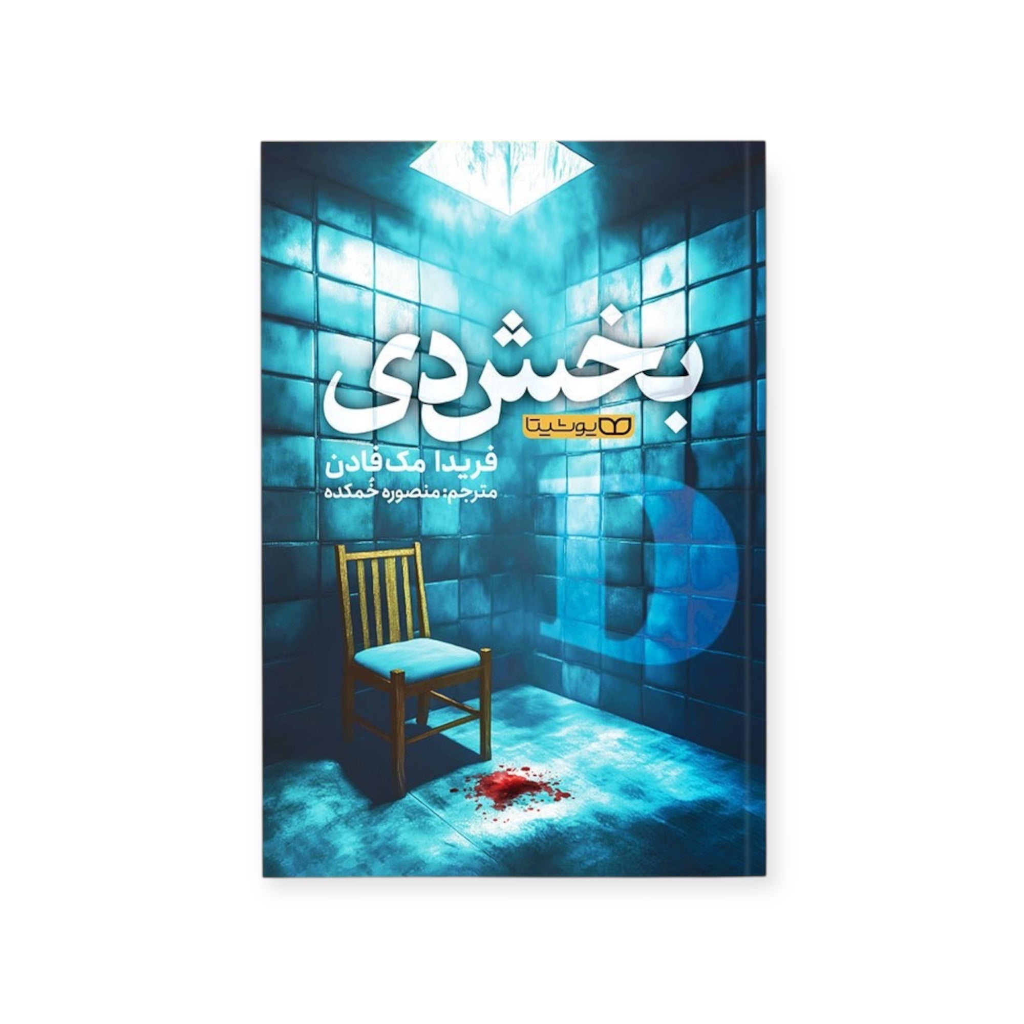بخش دی